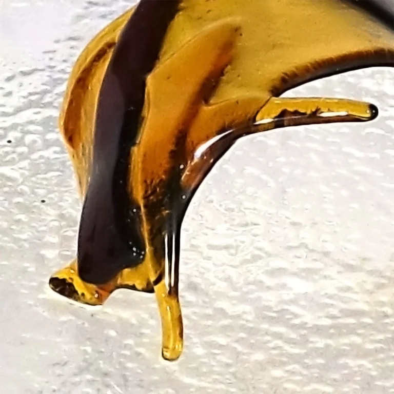Onda